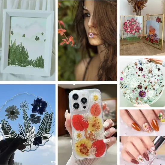 5 Packs of 140 Pressed Dried Flowers and Leaves {2}