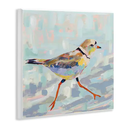 Stupell Industries Coastal Plover Abstract Bird Wall Plaque Design By Jeanette Vertentes {3}
