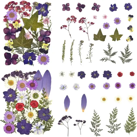 100Pcs Purple Dried Pressed Flowers for Resin Molds {2}