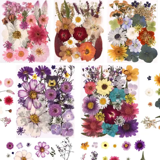 5 Packs of 140 Pressed Dried Flowers and Leaves {1}