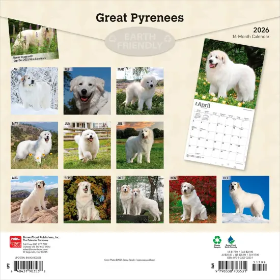 Great Pyrenees | 2026 12 x 24 Inch (Hanging) Monthly Square Wall Calendar | Plastic-Free {2}
