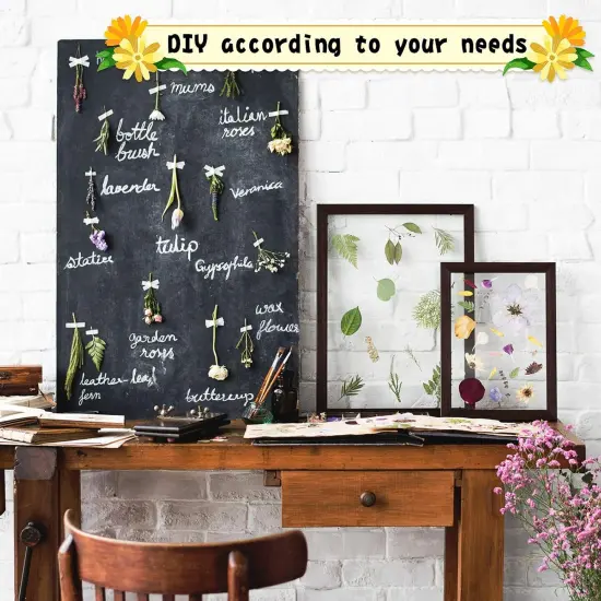 167 Pcs Real Dried Pressed Flowers {5}