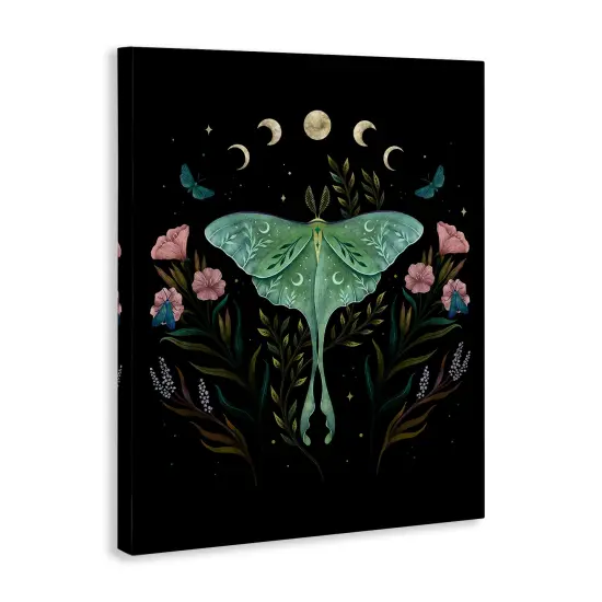 Stupell Industries Luna Moth with Florals Canvas Design By Episodic Drawings {3}