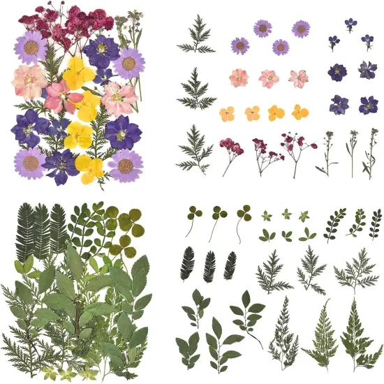 100Pcs Purple Dried Pressed Flowers for Resin Molds {3}