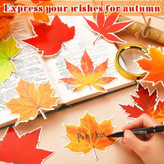 Thanksgiving Fall Bulletin Board Decorations {2}