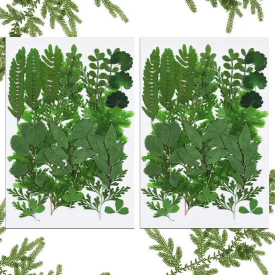 42 Pieces Dried Pressed Leaves for Resin {1}