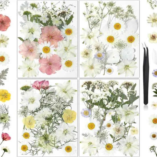 86Pcs Pressed Dried Flowers w/ Tweezer - White {1}