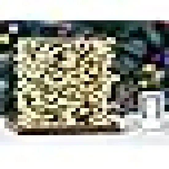 Twinkle Light for Outdoor Indoor Christmas Wedding Birthday Garden Party {6}