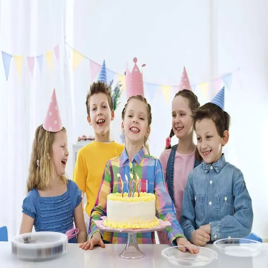 Party Solids Plastic Plates For Party Disposable Plates Heavy Duty Supplies 100 Pcs Plastic Dinnerware Sets Heavy Duty 350 GSM Disposable Dinnerware Set by Exquisite {6}