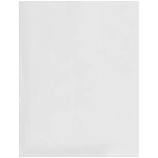 Plymor 10" x 13", 2 Mil Flat Open Clear Plastic Poly Bags {1}