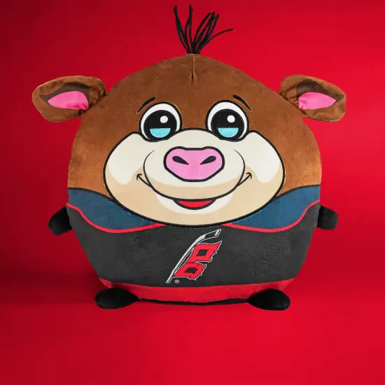 Sleep Squad Carolina Hurricanes Stormy 12" Mascot Kiri Cloud Plushie {4}