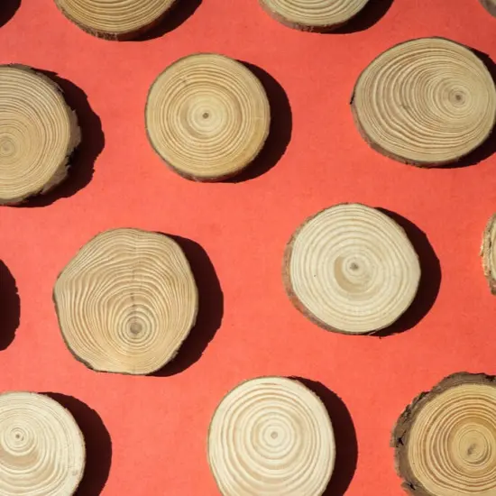 Winter Wood Slice Wreath Kit {3}