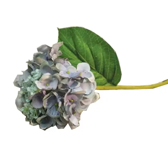 Classic Hydrangea Pick Cream {3}