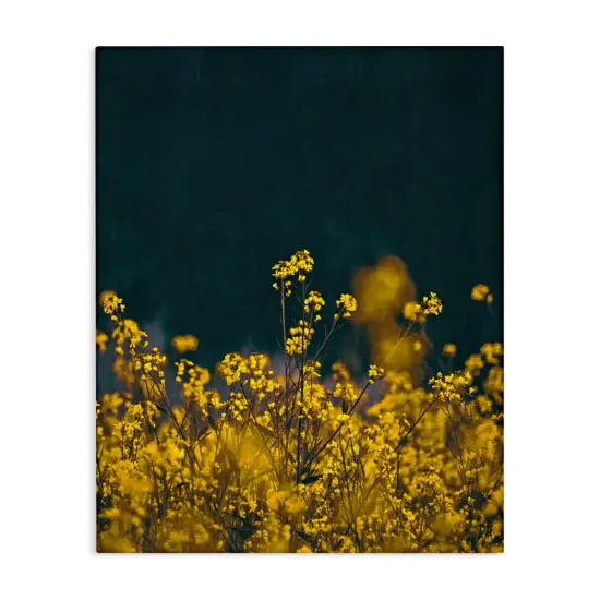 Stupell Industries Marigold Meadow Flowers Canvas Wall Art Design by Sundance Group, LLC. {1}