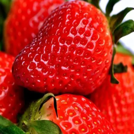Strawberry - Premium Fragrance Oil {1}