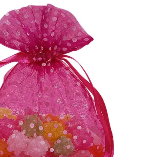 Polka Dot Organza Bag 4" x 5" Delightful and Durable {5}