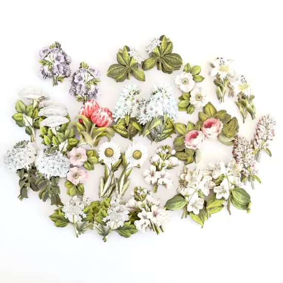 120 Botanical Engravings Stickers {2}