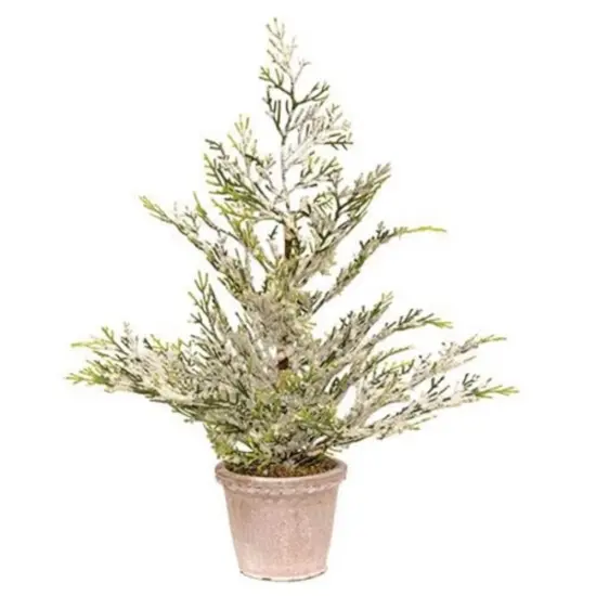 Snowy Juniper Tree In Planter {1}