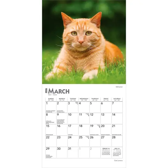 Cat Lovers | 2026 7 x 14 Inch (Hanging) Monthly Mini Wall Calendar {3}
