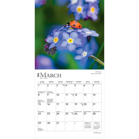 Wildflowers | 2026 7 x 14 Inch (Hanging) Monthly Mini Wall Calendar {3}