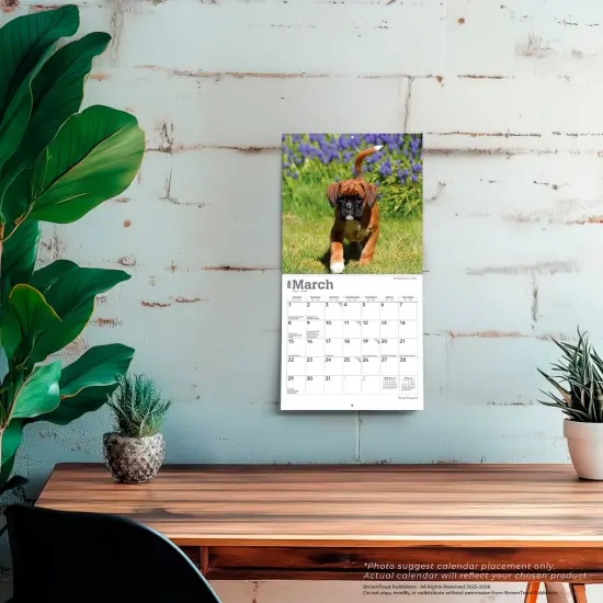 Boxer Puppies | 2026 7 x 14 Inch (Hanging) Monthly Mini Wall Calendar {5}