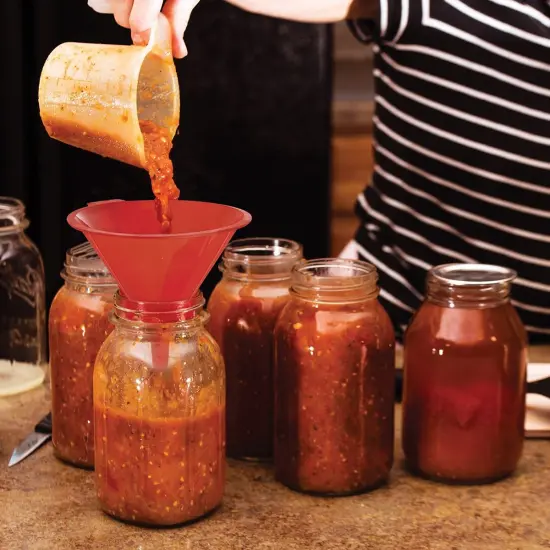 HIC 3pc Plastic Nesting Funnel Set for Liquids and Dry Goods, Kitchen Canning, Cooking and Home Use {2}