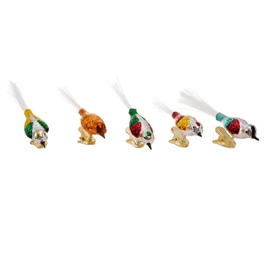 Colorful Glass Bird Clip-On Ornaments - 5 Piece Set {1}