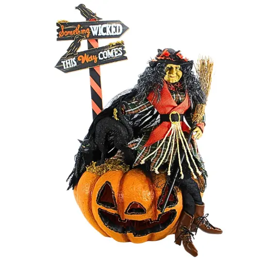 Karen Didion 30.0 Inch Agnes Witch Halloween Figurine , Lighted Halloween Decor Fiber Optic Orange {1}