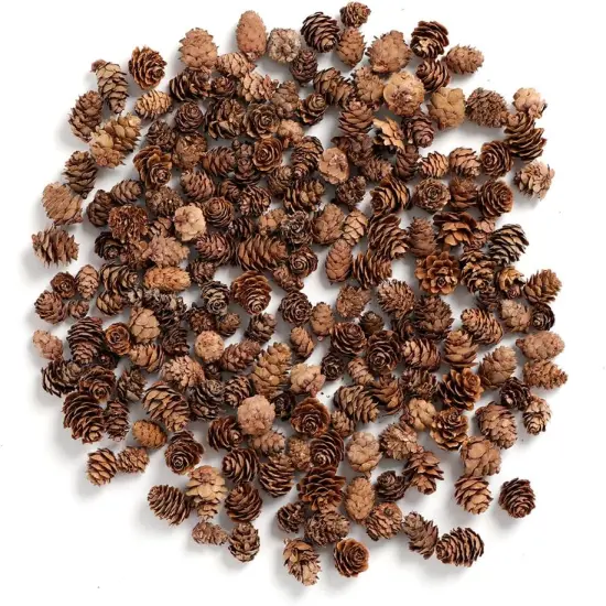 Pine Cones, Mini Pinecones in Bulk for Crafts, 8OZ, Pack of 110 (Natural) {1}