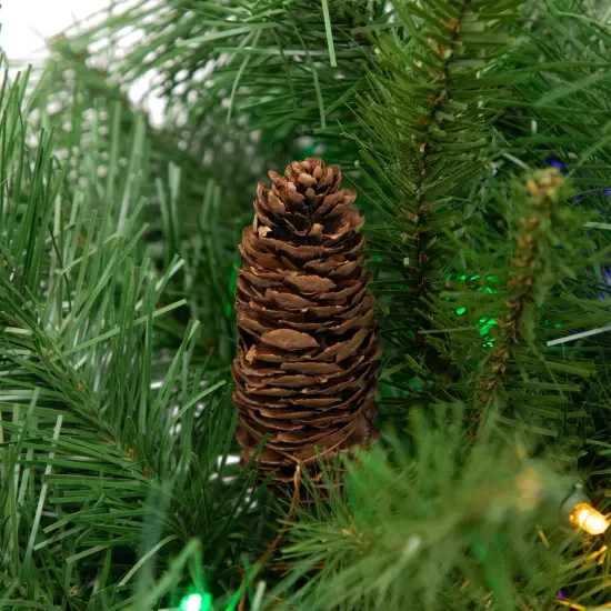 Northlight Pre-Lit Dakota Red Pine Artificial Christmas Garland - 9' x 16" - Multi LED Lights Green {7}