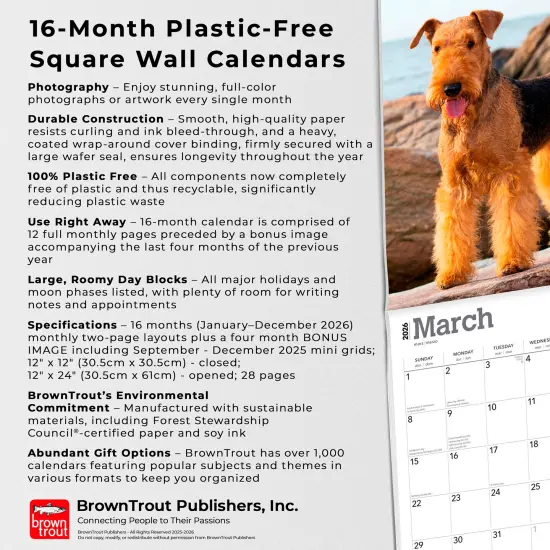 Airedale Terriers | 2026 12 x 24 Inch (Hanging) Monthly Square Wall Calendar | Plastic-Free {6}