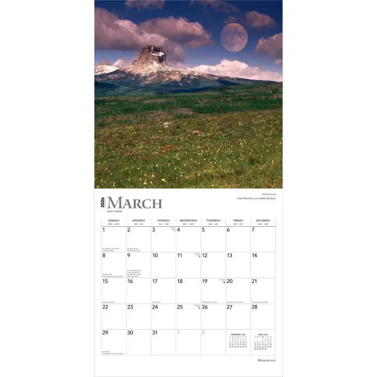 Moonstruck | 2026 12 x 24 Inch (Hanging) Monthly Square Wall Calendar | Foil Stamped Cover | Plastic-Free {3}