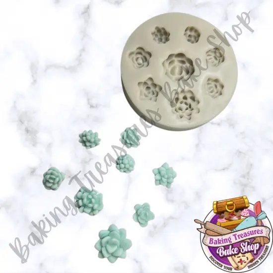 Succulent Variety flower {1}