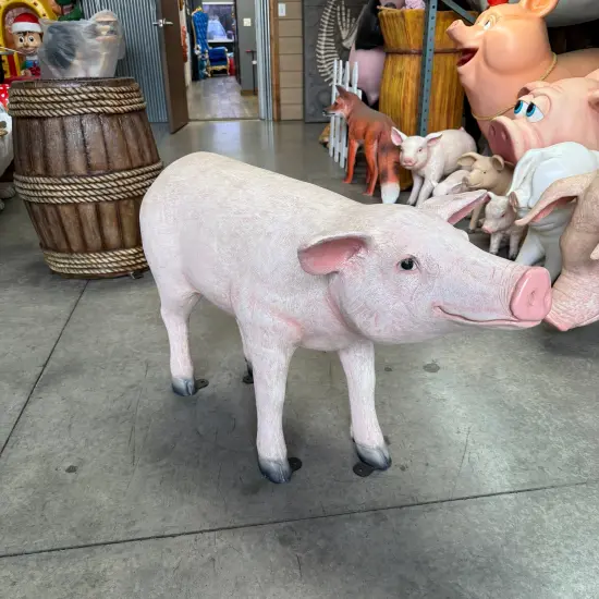 Baby Pig Standing Life Size Statue {5}