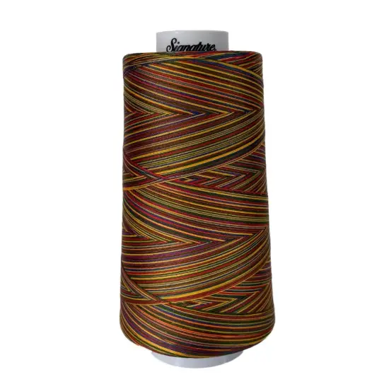 M01 Brights Signature Cotton Variegated Thread {1}