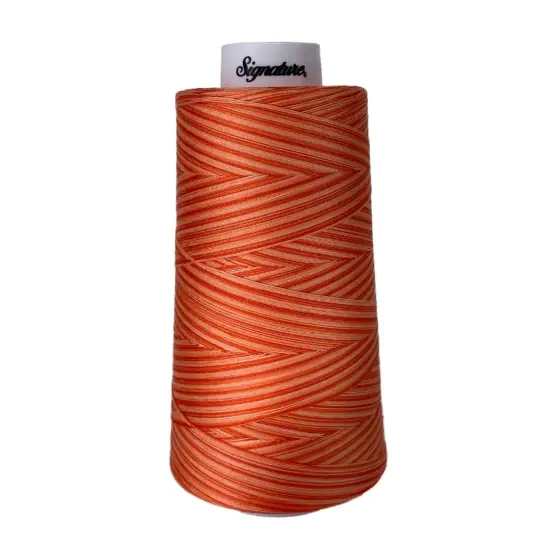 F261 Orange Craze Signature Cotton Variegated Thread {1}