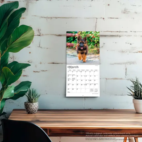 German Shepherds | 2026 7 x 14 Inch (Hanging) Monthly Mini Wall Calendar {5}