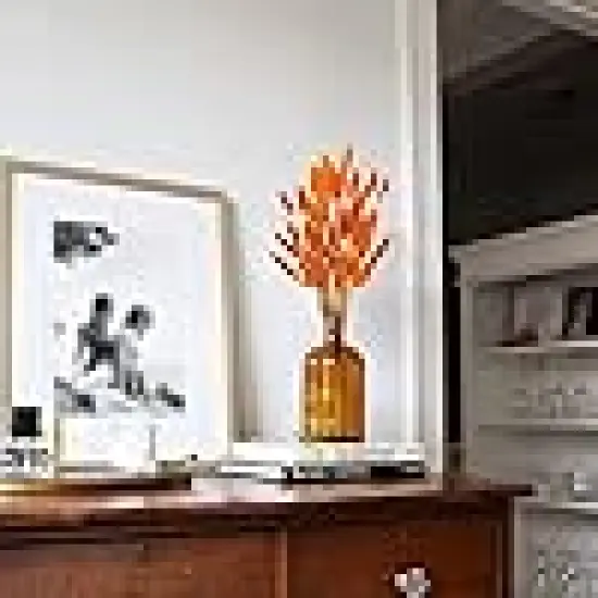 Dried Lagurus Ovatus {4}