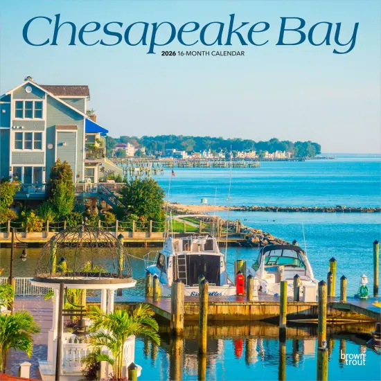 Chesapeake Bay | 2026 12 x 24 Inch (Hanging) Monthly Square Wall Calendar | Plastic-Free {1}