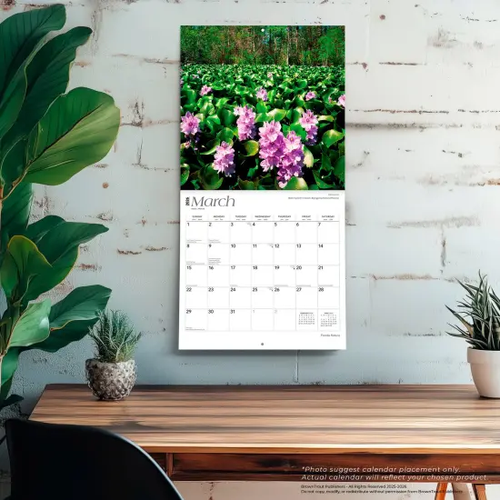 Florida Nature | 2026 12 x 24 Inch (Hanging) Monthly Square Wall Calendar | Plastic-Free {5}
