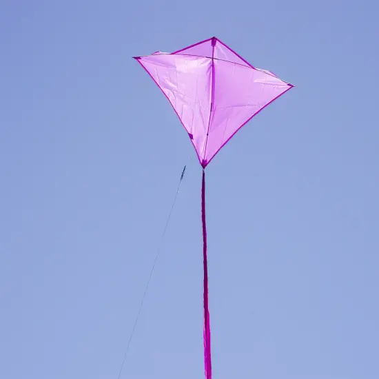 In the Breeze 3295 - Grape 30 Inch Diamond Kite - Solid Purple, Fun, Easy Flying Kite {4}