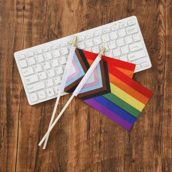 25 Pack Small Progress Pride Rainbow Gay Stick Flag Mini Handheld Inlcusive Progressive Pride LGBTQ Flags 4x6inch {5}