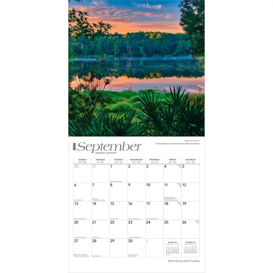 South Carolina Wild & Scenic | 2026 12 x 24 Inch (Hanging) Monthly Square Wall Calendar | Plastic-Free {4}