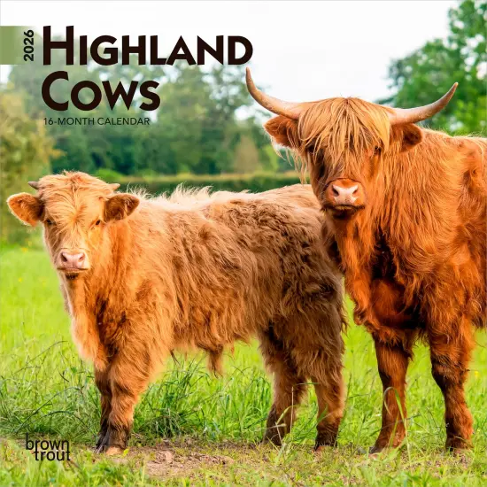 Highland Cows | 2026 7 x 14 Inch (Hanging) Monthly Mini Wall Calendar {1}