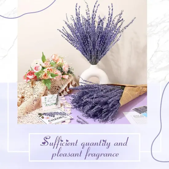 8 Bundles Dried Lavender Bundles 16 Inches 1120-1200 Stems French Dried Lavender Natural Dried Flowers Dried Lavender Bundle for Home Decorations Wedding Photo Props Party Flower Arrangement {2}