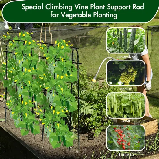 Cucumber Trellis for Raised Beds 70.8" L x 11.8" W x 70.8" H {4}