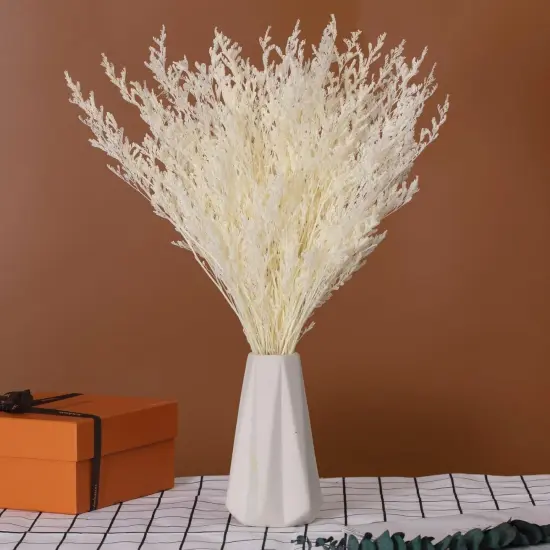 Dried Flowers Bouquet, Dry Caspia Flower Bundle, Floral Lavender, Babys Breath Flowers Arrangements for Wedding Decor, Door Wreath, Home Party Table Vase Decoration (White, 17'') {3}