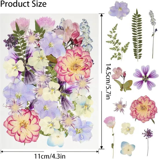 50Pcs Dried Pressed Flowers Resin Mould Real Pressed Flowers Natural Dry Leaves Bulk Mixed Colorful Daisy Herbs Kit with Tweezers for Scrapbooking DIY Candle Jewelry Crafts Making Nails(Purple) {3}