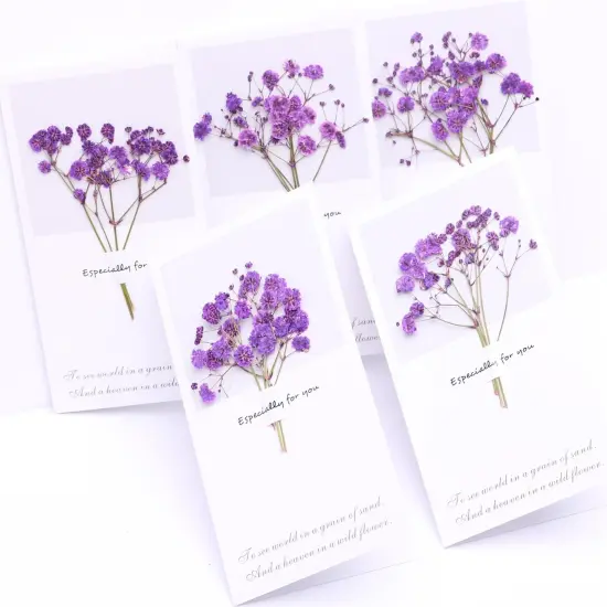 30 Branches Purple Pressed Flowers Bulk Dried Flower Kit for Resin , Dried Babys Breath Flower Natural {4}