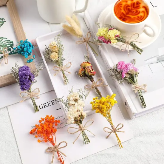 10 Pcs Mini Dried Flowers Bouquet Natural Gypsophila Don't Forget Me Dried Flowers Bouquet Plant Stem Bunch for DIY Craft Card Photo Props Vase Wedding Decor {5}